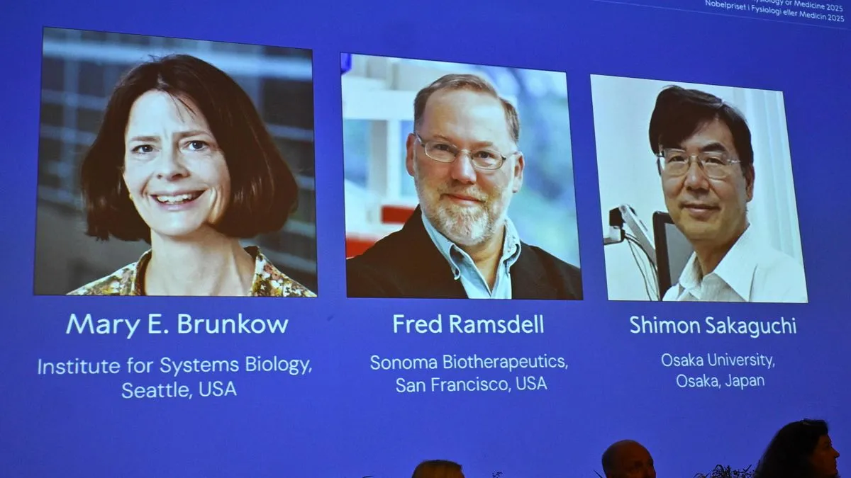 Nobel per la Medicina 2025: a Brunkow, Ramsdell e Sakaguchi il prestigioso riconoscimento per la scoperta delle cellule T regolatrici