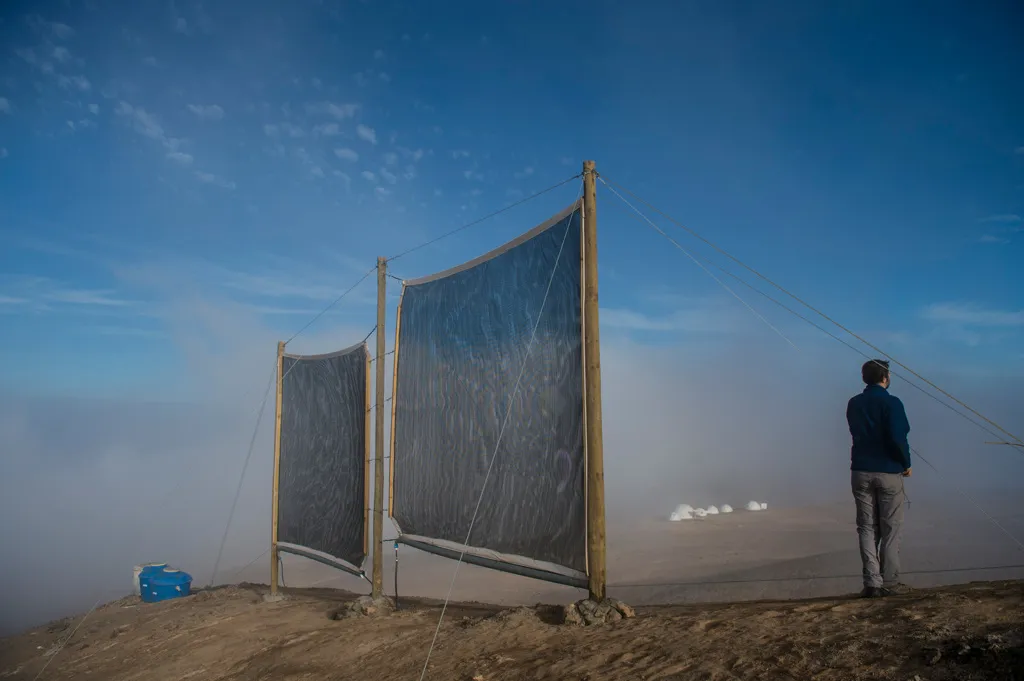 Svolta nella raccolta d'acqua dal deserto più arido