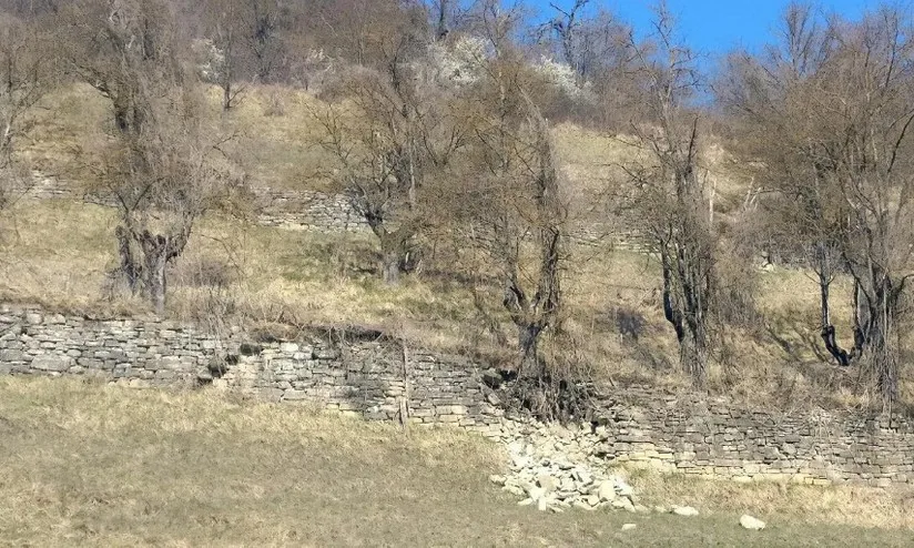 Agricoltura e Cambiamento Climatico: Lezioni dal Medioevo sui Terrazzamenti di Vetto d’Enza per le Strategie del Futuro