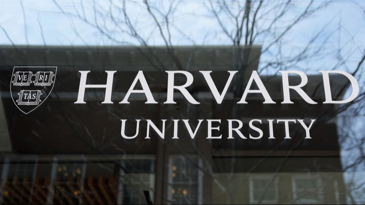 Harvard, una storica battaglia legale difende il diritto degli studenti internazionali: il giudice blocca il divieto alle iscrizioni