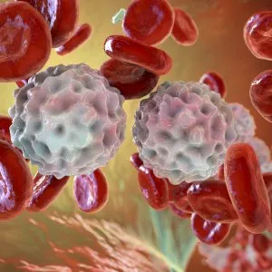 Nuove Prospettive contro il Linfoma: Gator1, il Freno Molecolare che Può Fermare il Cancro del Sangue