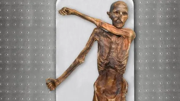 Il mistero genetico di Ötzi: nuove rivelazioni sul Dna della mummia delle Alpi