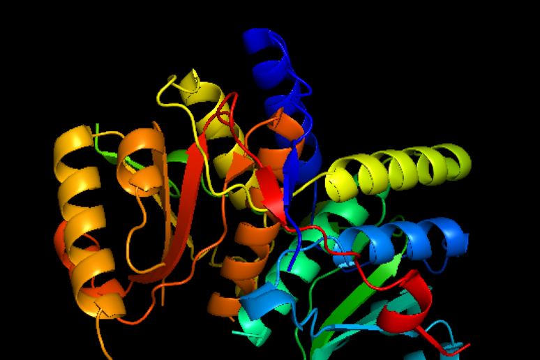 Prima proteina artificiale mutaforma creata all’Università della California: rivoluzione nella biologia sintetica e nuove prospettive per la ricerca globale