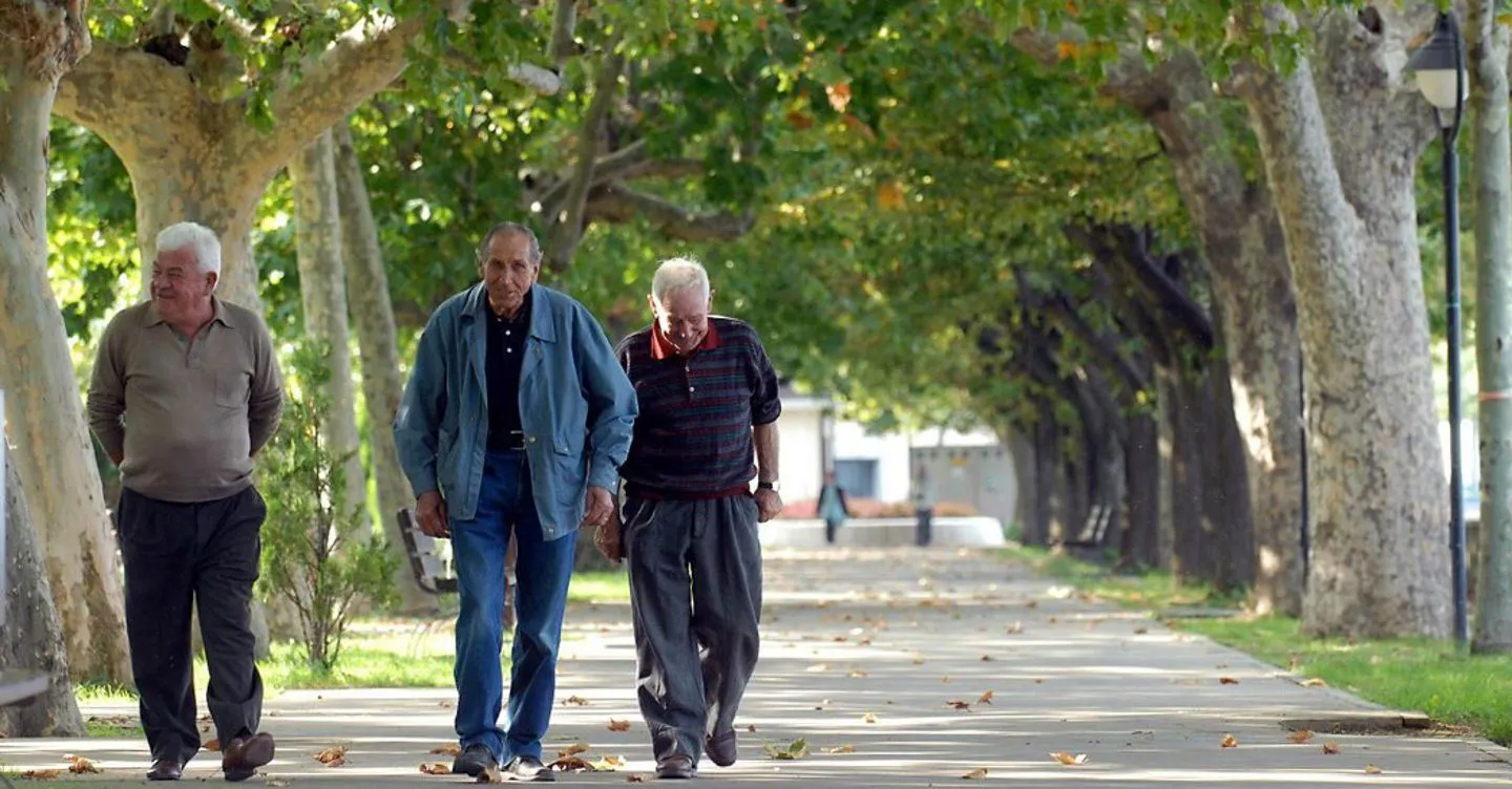 Riforma Pensioni 2026: Le Conseguenze sull'Indicizzazione e le Perdite per gli Assegni Superiori ai 2.500 Euro