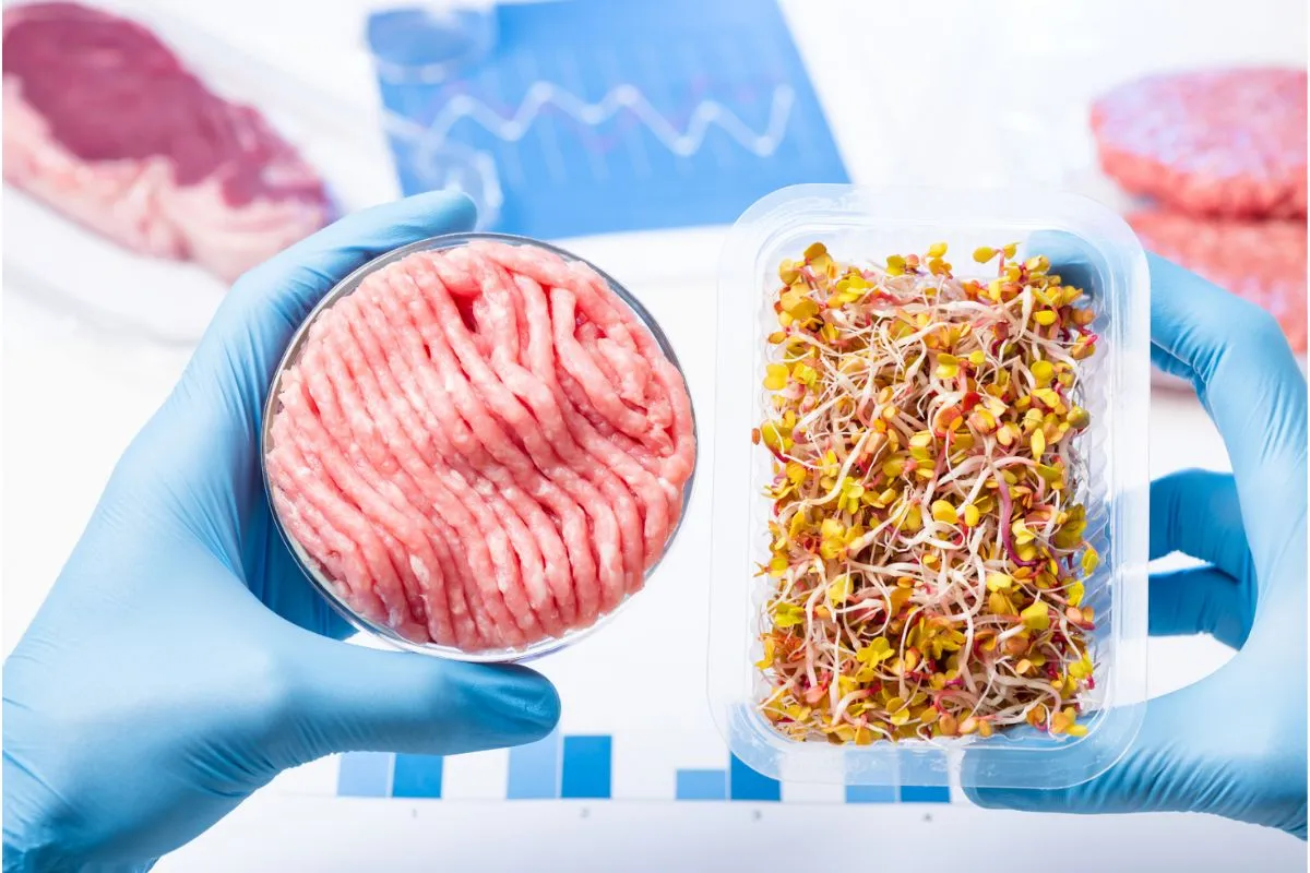 Cibi Ibridi: La Rivoluzione delle Proteine Alternative tra Salute, Gusto e Sostenibilità