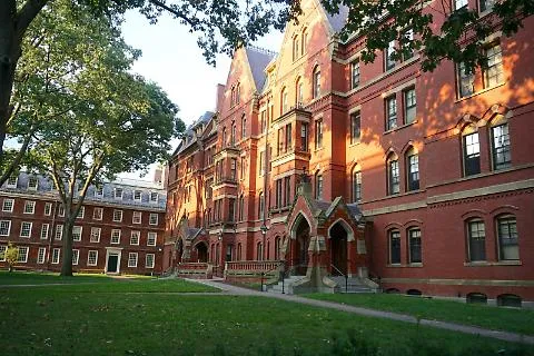 Università USA al Vertice: Soddisfazione degli Studenti Internazionali Ai Massimi Storici