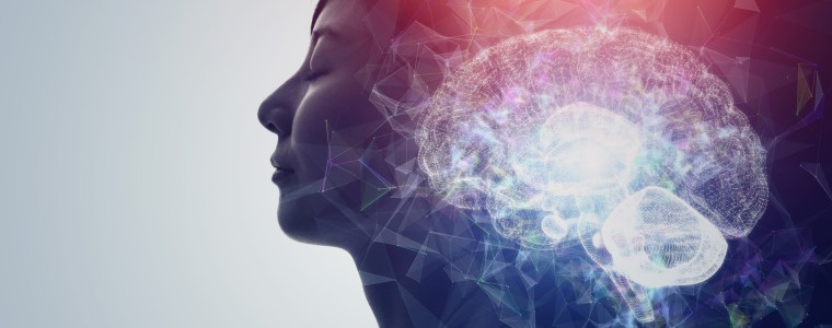 Scoperte Neuroscientifiche: La Dopamina e la Dimenticanza delle Paure