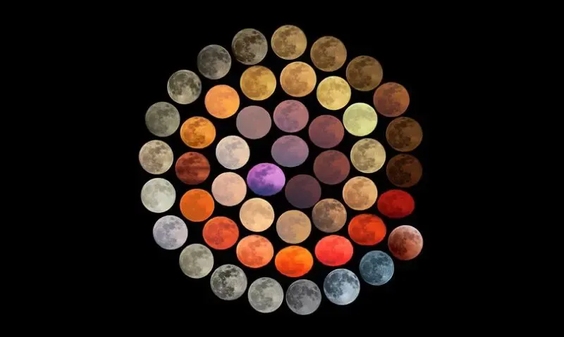 Italia Protagonista all'Astronomy Photographer of the Year 2025: Tre Talenti Premiati a Londra