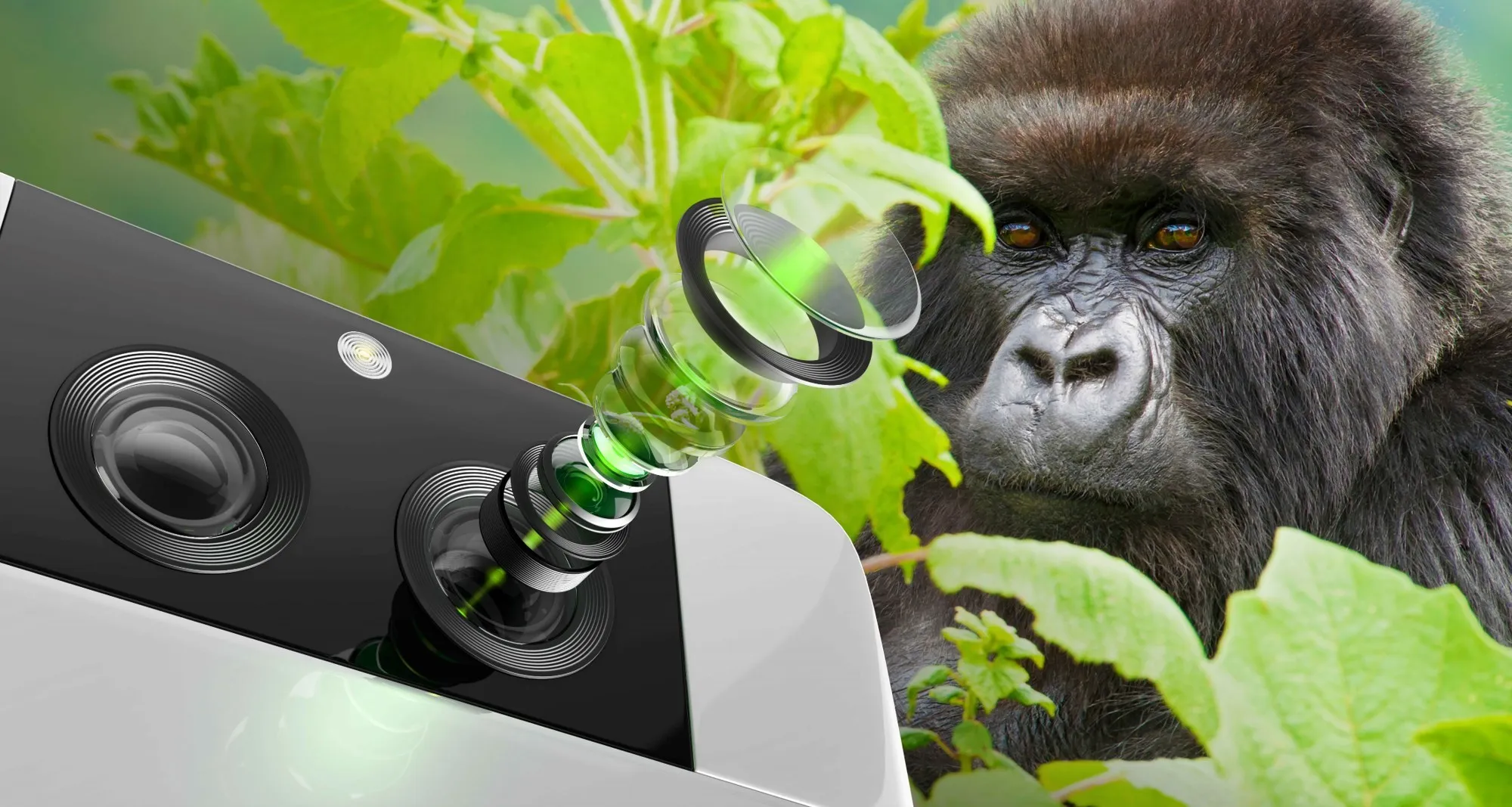 Corning e la svolta sugli accordi: nuovo scenario per Gorilla Glass