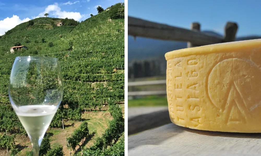 Prosecco e Asiago: Alla Ricerca dell’Equilibrio Perfetto nell’Abbinamento tramite Analisi Sensoriale