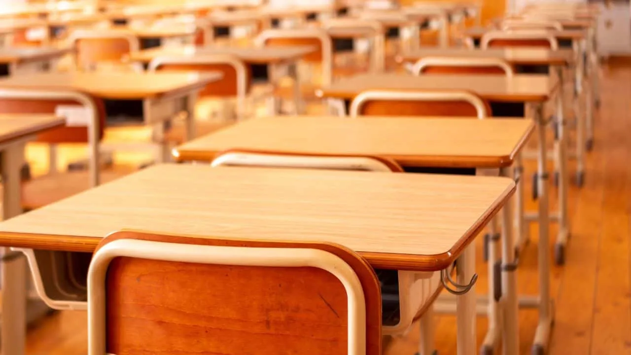 Esoneri scuole in reggenza: 254,5 nuove posizioni 2025