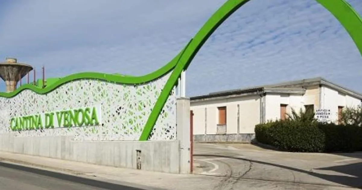 Cantina di Venosa: innovazione tecnologica e sostenibilità guidano il rilancio della produzione vinicola d’eccellenza in Basilicata