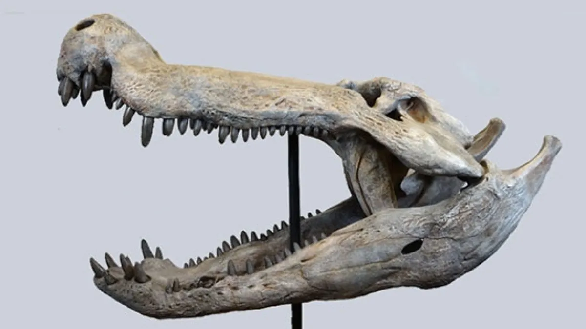 Kostensuchus atrox: Il Coccodrillo Preistorico della Patagonia che Dominava i Dinosauri