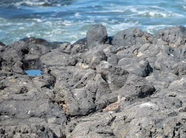 Acqua prodotta da rocce secche: cosa cambia per vulcani e terremoti