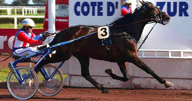 Addio a Varenne, il cavallo trottatore più grande di tutti i tempi si spegne a 31 anni