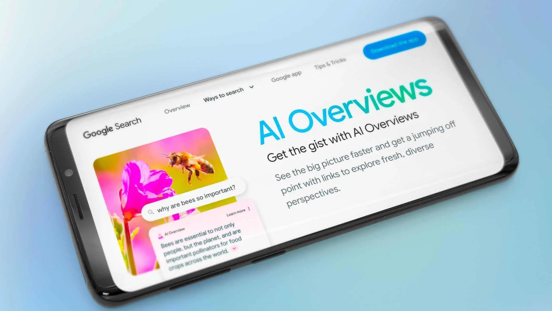 Google stravolge il traffico web: AI Overviews sotto accusa