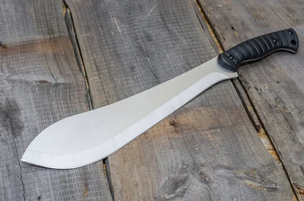 Allarme Sicurezza: Studente di 15 Anni si Presenta a Scuola con un Machete nello Zaino a Budrio