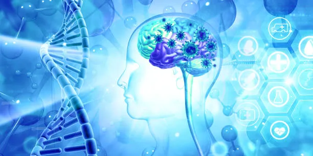 Alzheimer e la Svolta della Molecola “Smart”: Nuove Prospettive Terapeutiche dallo Studio Italiano