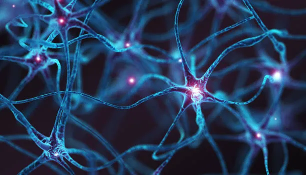 Alzheimer, la proteina tau si propaga da neurone a neurone: lo studio che cambia la prospettiva sulle terapie