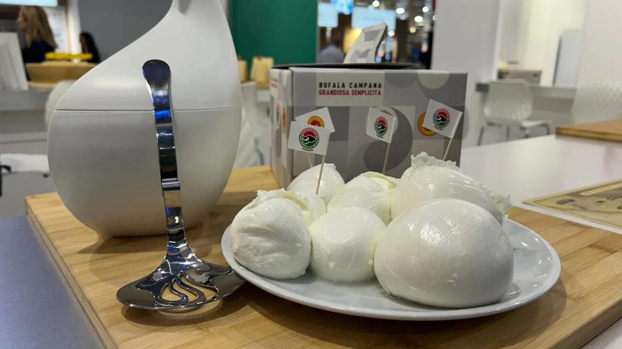 Mozzarella di Bufala Campana DOP protagonista ad Anuga 2025: strategie e investimenti del Consorzio Tutela per il mercato tedesco