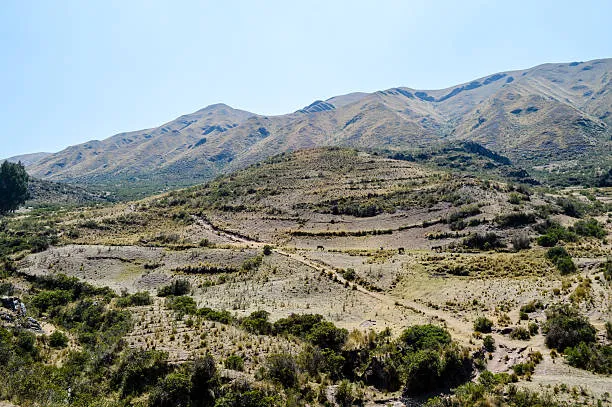 Archeogenetica nelle Ande: ricostruiti 2.000 anni di storia agricola e demografica nella valle dell'Uspallata