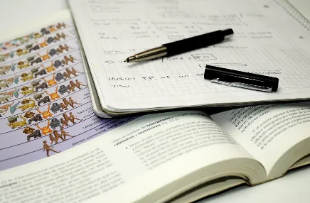 Dalla Teoria alla Pratica: Tutto Quello che Ti Serve per i Test di Cultura Generale
