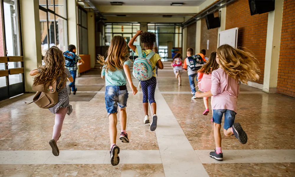 Disparità Sociali e Accesso all'Università: Un'Analisi delle Disuguaglianze Educative in Italia