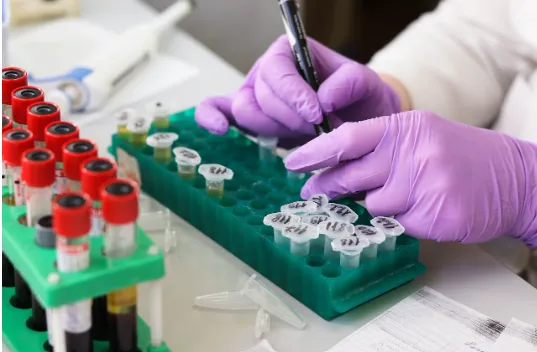 Biologia e Biotecnologie: Guida alla Scelta del Percorso di Studi
