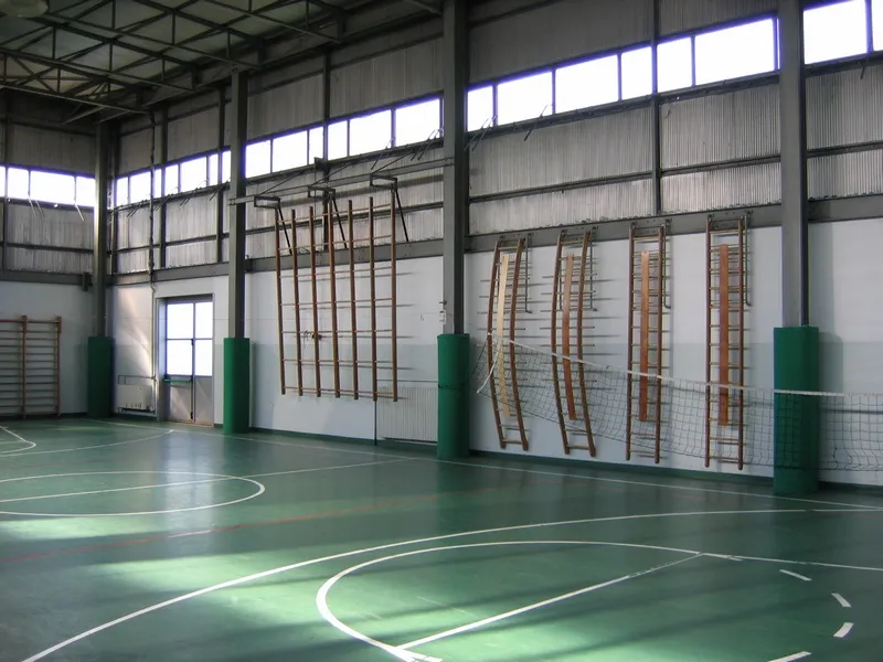 Licei Sportivi: 45 Milioni di Euro per Nuove Attrezzature e Innovazione Didattica