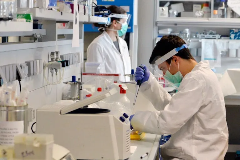 Crescita dei Ricercatori e delle Ricercatrici nelle Università e nel Pubblico: Analisi dei Dati Istat 2023