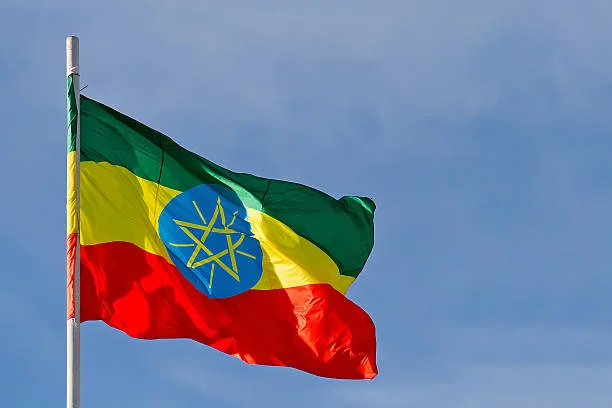 La Contrazione dell'Istruzione Superiore in Etiopia: Cause, Conseguenze e Prospettive di Riforma