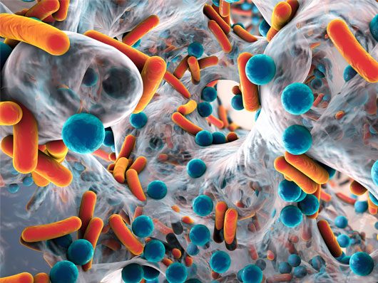 Innovazione contro l'Antibiotico-Resistenza: I Nanomateriali in Prima Linea