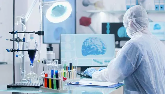 Organoidi cerebrali: la nuova frontiera nella lotta all'Alzheimer secondo lo studio della ShanghaiTech University