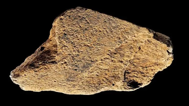 Boxgrove, il più antico martello in osso di elefante d'Europa