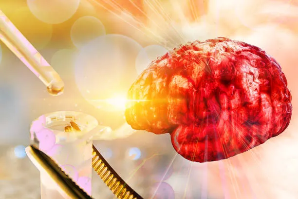 Cinque Età del Cervello: Le Scoperte Rivoluzionarie sulla Maturazione Cerebrale secondo lo Studio dell’Università di Cambridge