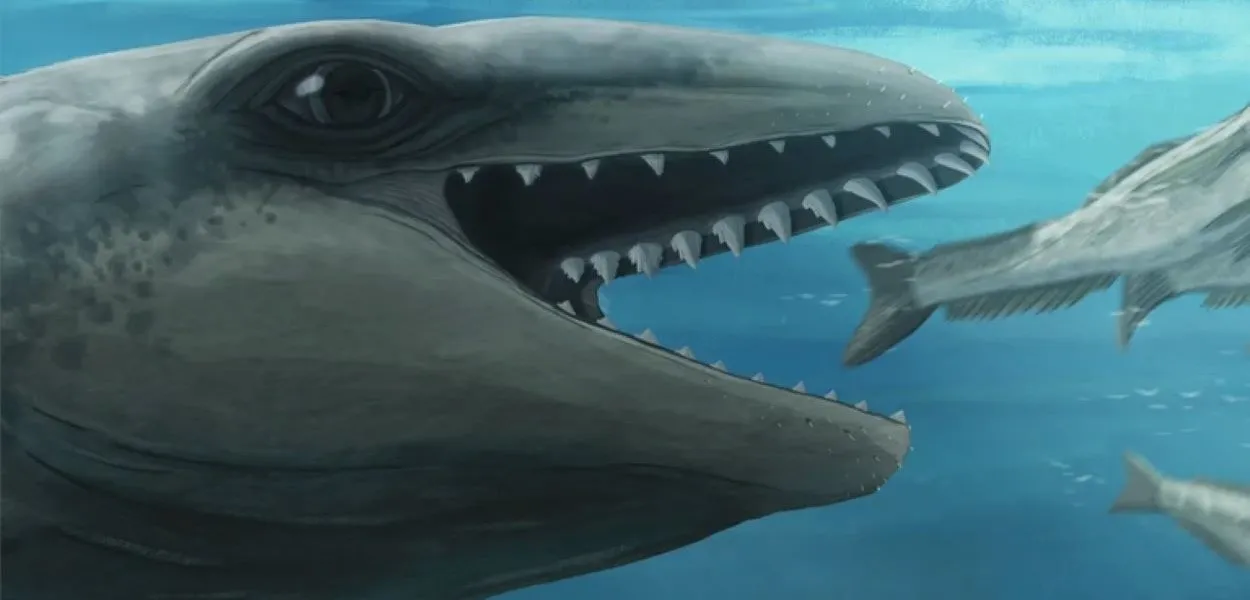 Scoperta in Australia una nuova specie di balena fossile dal muso 'pokemon': il Janjucetus dullardi rivoluziona la storia evolutiva delle balene
