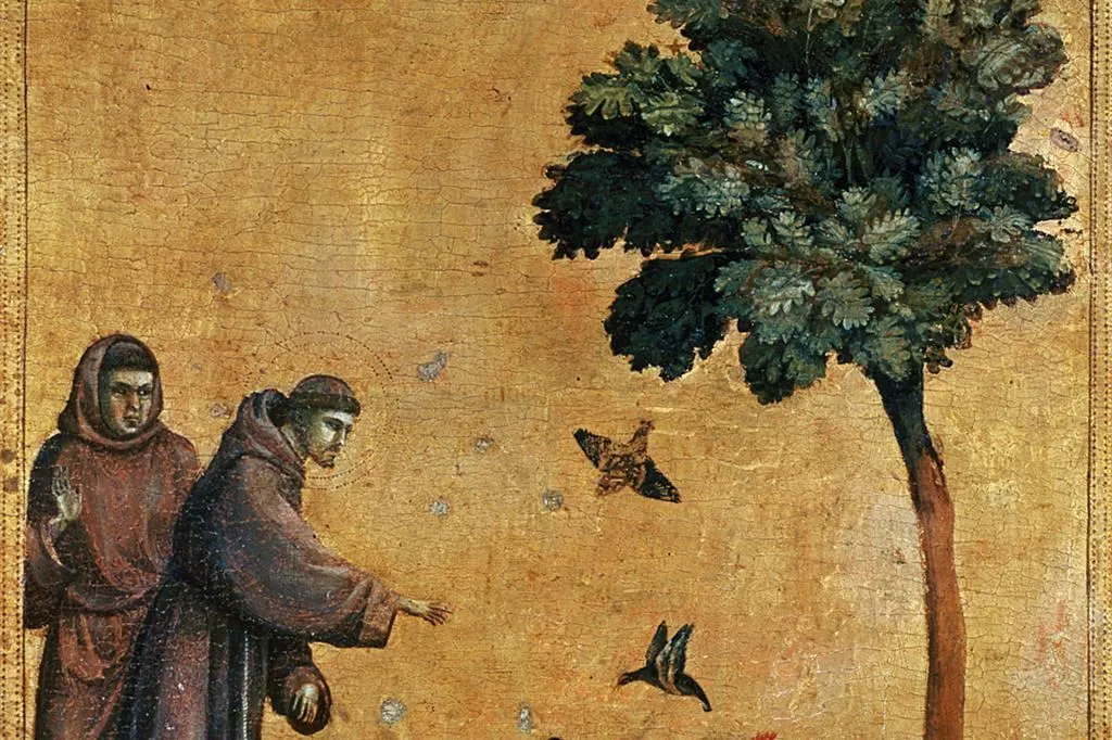 800 Anni dal Cantico delle creature: San Francesco e la rivoluzione dello sguardo sull’universo