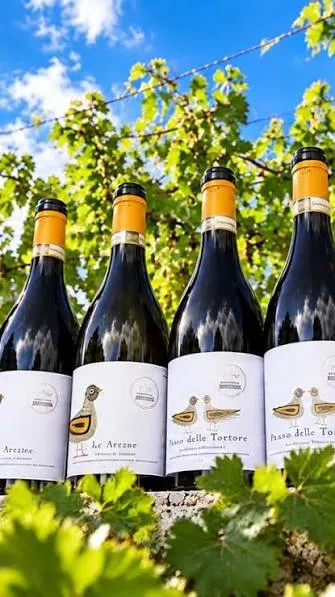 Cantina al femminile in Irpinia e i giovani che tornano al vino