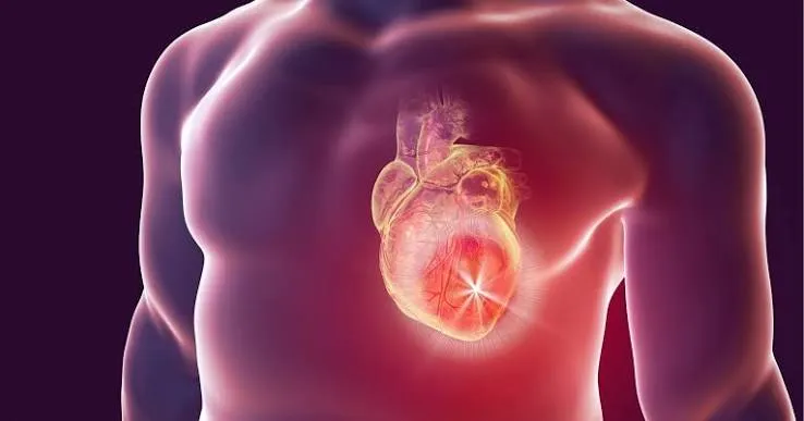 Cardiopatie congenite: il difetto nasce nell'antenna delle cellule
