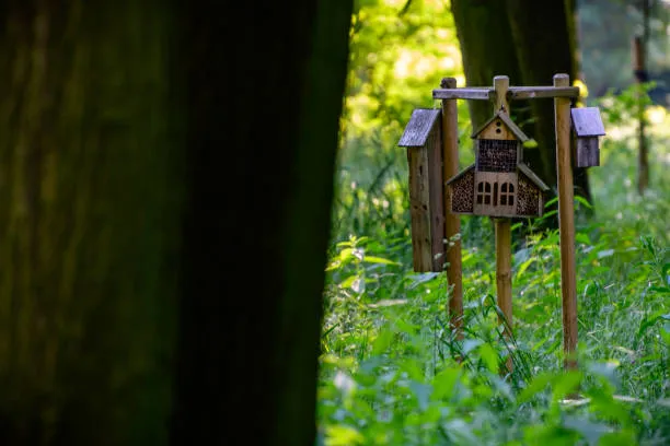 Famiglia nel Bosco di Palmoli: Libertà, Educazione e il Valore dei Rapporti Autentici