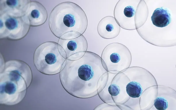 Cellule Staminali: Una Nuova Frontiera per il Dolore Cronico Articolare senza Oppioidi