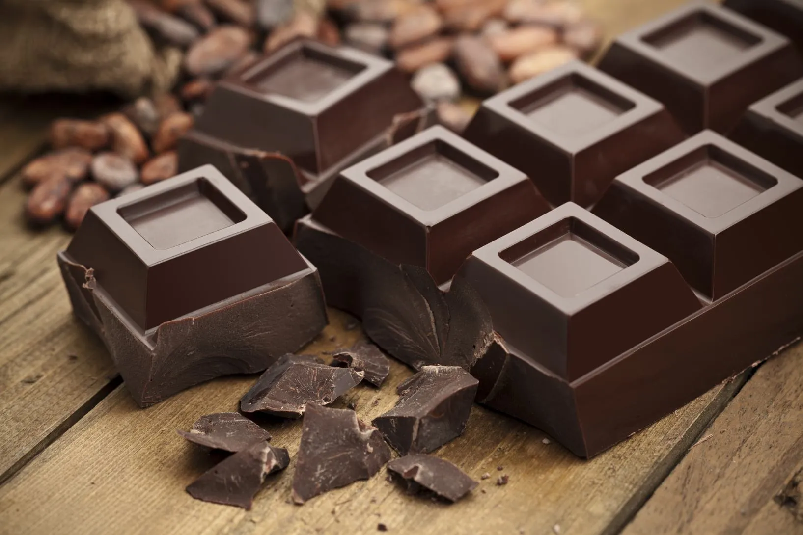 Il Ruolo Cruciale dei Batteri nel Miglior Sapore del Cioccolato: Nuove Frontiere dalla Ricerca Scientifica