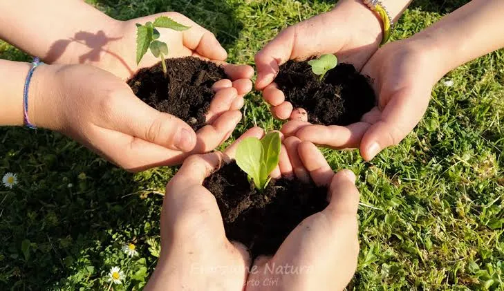 Cittadinanza ambientale, i 63mila euro valgono quattro moduli da 60 ore