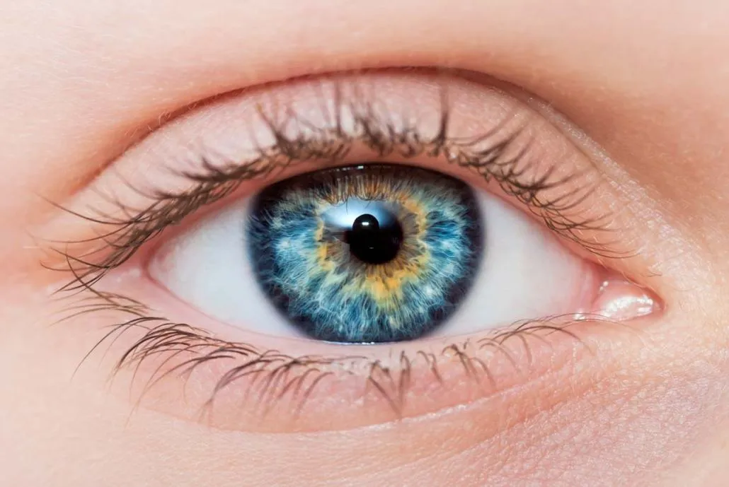 Retina E-paper: la rivoluzione svedese nei display ultra-definiti che sfida la percezione umana