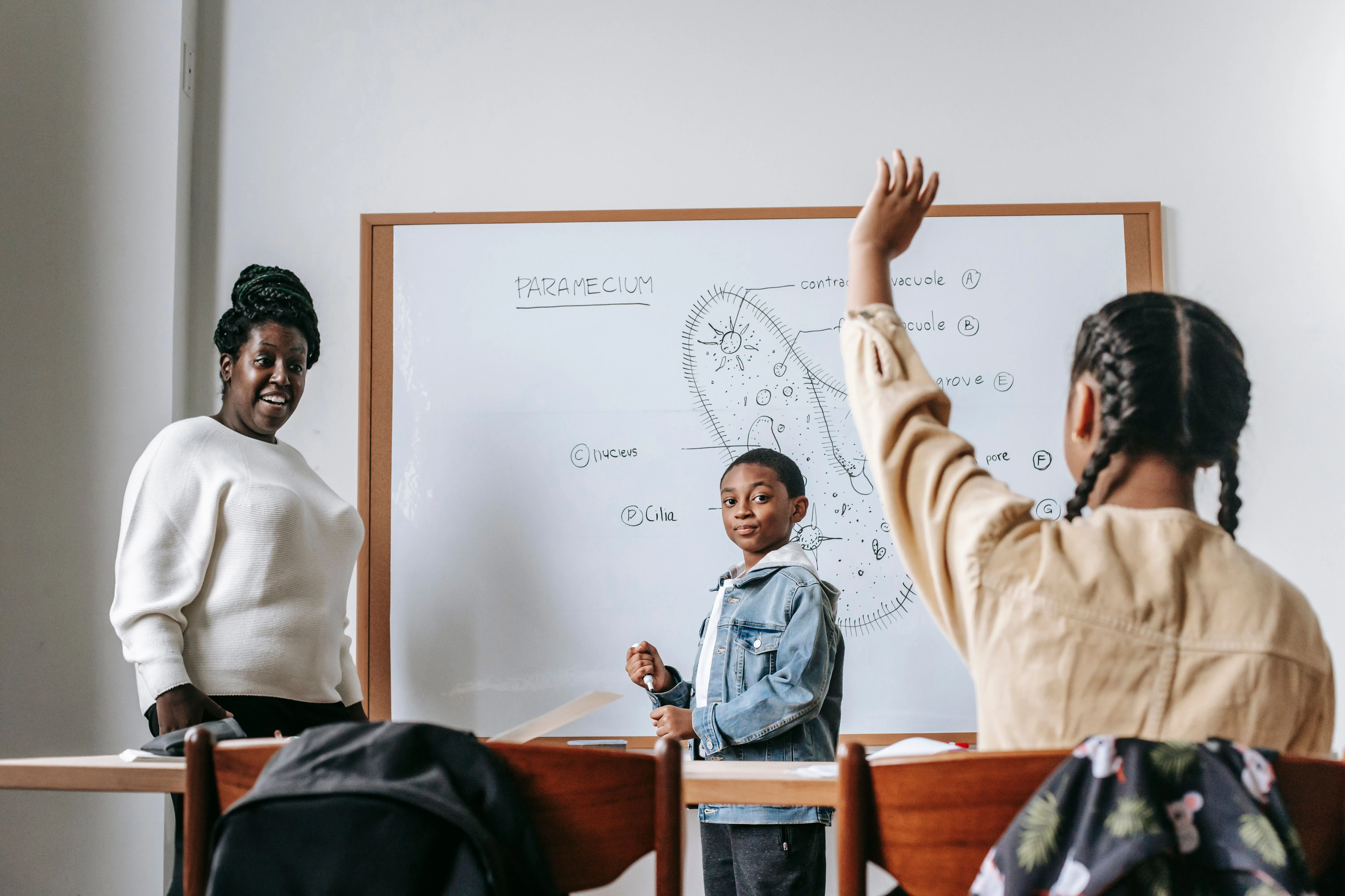 Come cambiano le scuole in cinque città italiane: piani a confronto