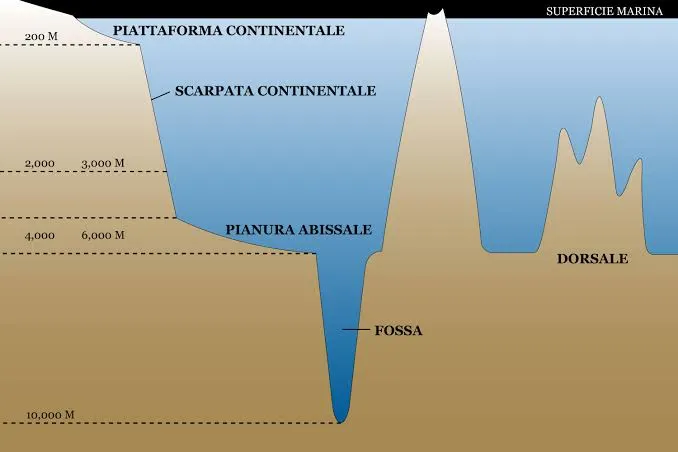 Come si forma la crosta oceanica: 160 milioni di m³ in 16 giorni