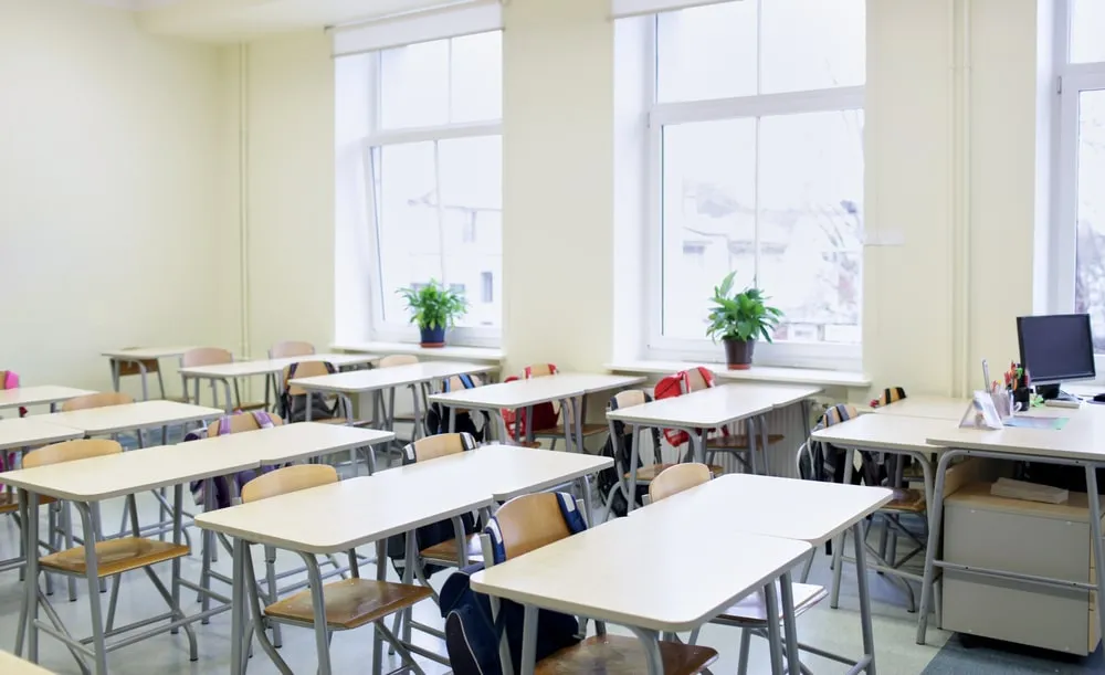 L’Istituto Comprensivo: Significato, Struttura e Ruolo nel Sistema Scolastico Italiano