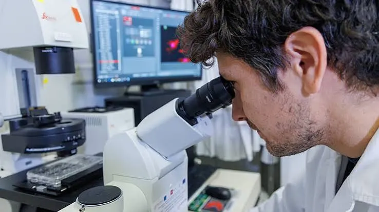 Da Pisa il neo-muscolo che parla col nervo e libera dall'autoinnesto