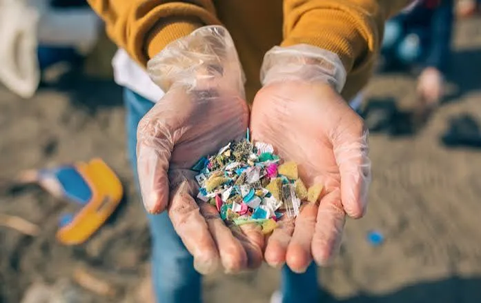 Dalle bottiglie al sangue: cosa rende tossiche le microplastiche