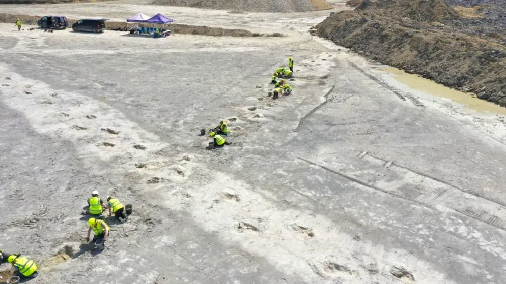 Un Primato Straordinario: Scoperta in Regno Unito la Più Lunga Pista di Orme di Dinosauro Sauropode d’Europa